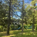 Bosco Magico Roccolo Apartament CastellʼArquato