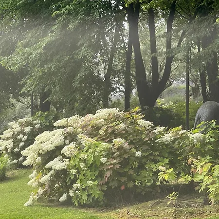 Bosco Magico Roccolo CastellʼArquato
