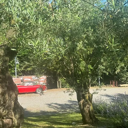 Bosco Magico Roccolo *