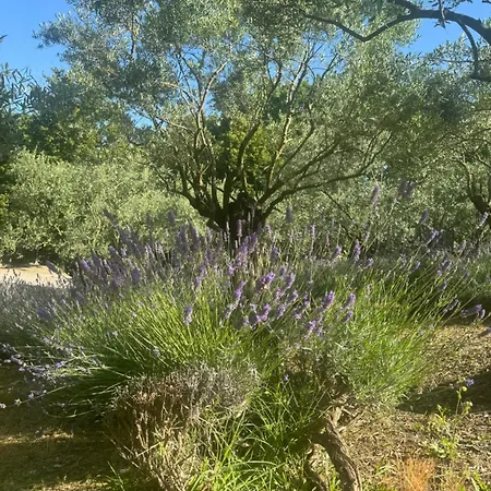 Apartman Bosco Magico Roccolo