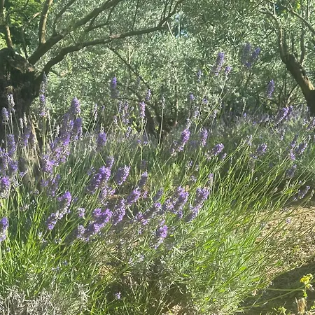Bosco Magico Roccolo Apartmán *