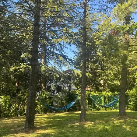 Bosco Magico Roccolo Apartman CastellʼArquato