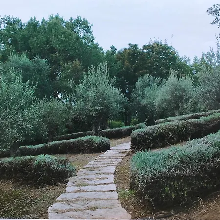 Apartman Bosco Magico Roccolo *