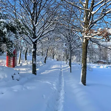 Bosco Magico Roccolo شقة CastellʼArquato