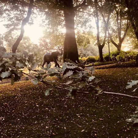 شقة Bosco Magico Roccolo CastellʼArquato