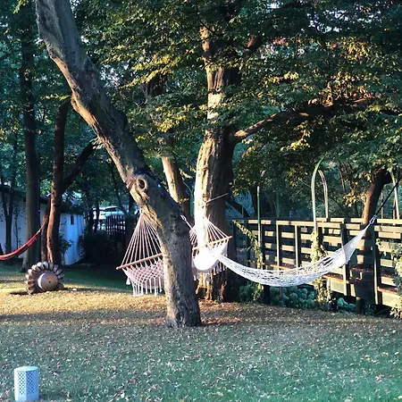 Bosco Magico Roccolo *