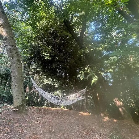 Apartment Bosco Magico Roccolo
