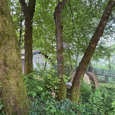 Bosco Magico Roccolo شقة *