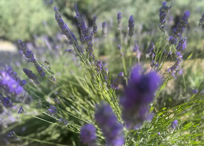 Bosco Magico Roccolo شقة *