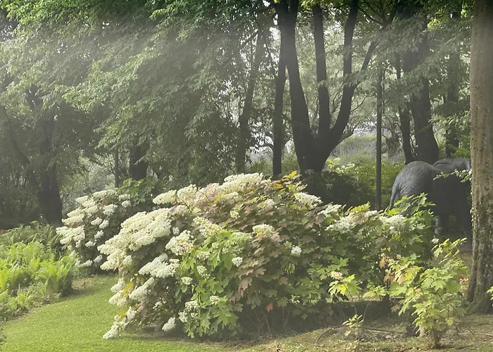 Bosco Magico Roccolo CastellʼArquato