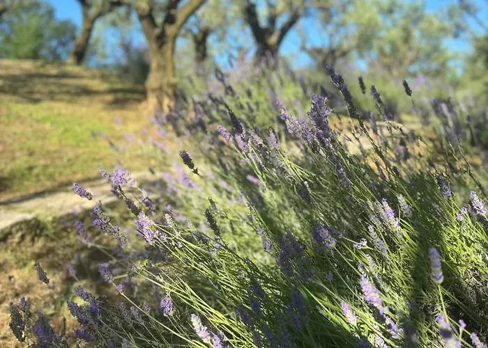 Bosco Magico Roccolo CastellʼArquato