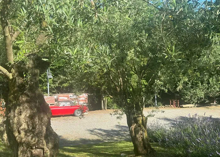 Bosco Magico Roccolo *