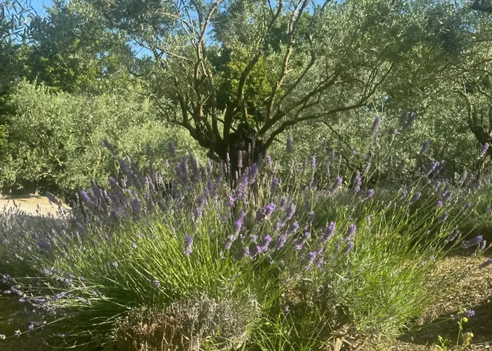 Apartament Bosco Magico Roccolo