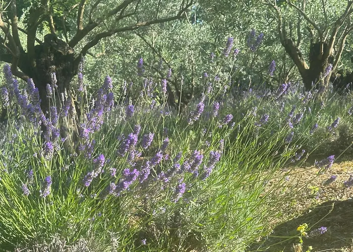 Bosco Magico Roccolo شقة *