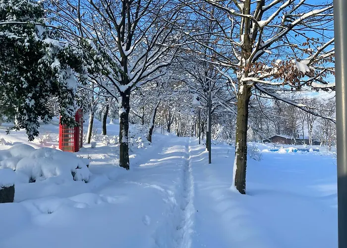 Bosco Magico Roccolo شقة CastellʼArquato
