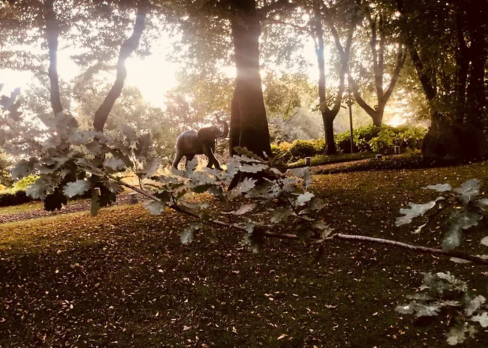 شقة Bosco Magico Roccolo CastellʼArquato