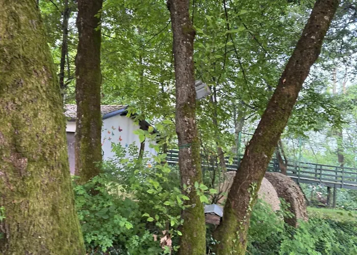 Bosco Magico Roccolo شقة *